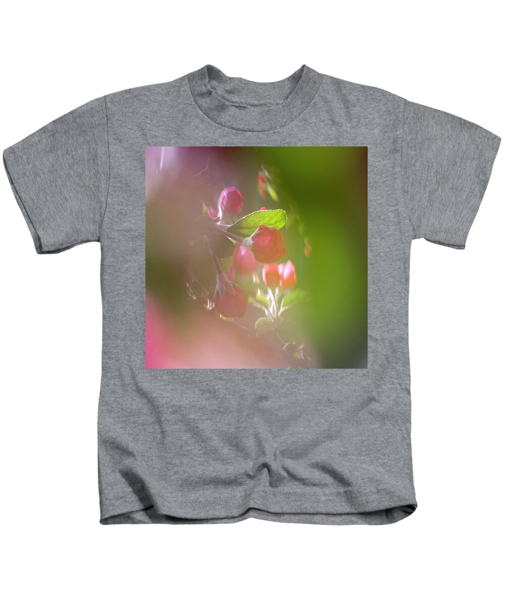 Spring Kids T-Shirt featuring the photograph Crabapple Dreams by Mary Lee Dereske