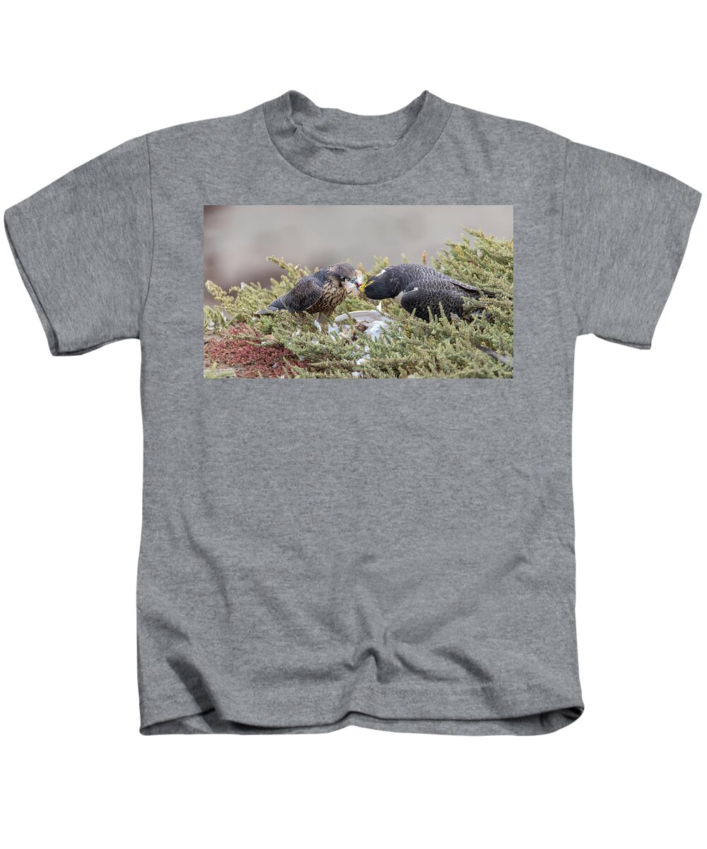 Peregrine Kids T-Shirt featuring the photograph Creating A Feather Mustache by Alice Schlesier