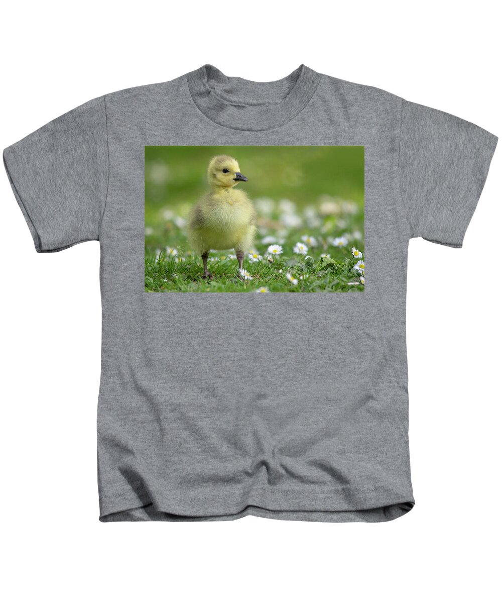 Gosling Kids T-Shirt featuring the photograph Cute Gosling by Gareth Parkes