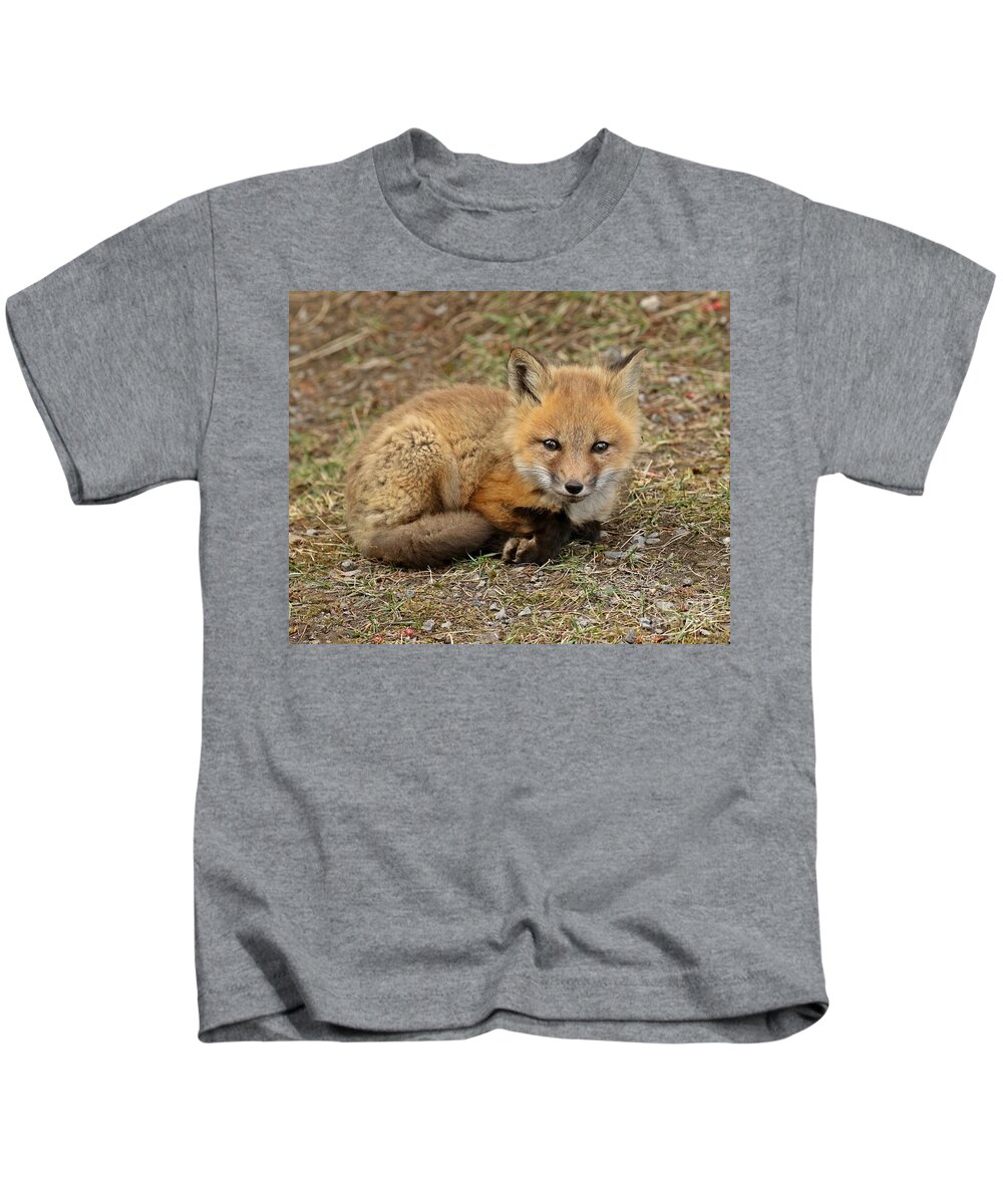 Baby Fox Kids T-Shirt featuring the photograph Cuteness overload by Heather King