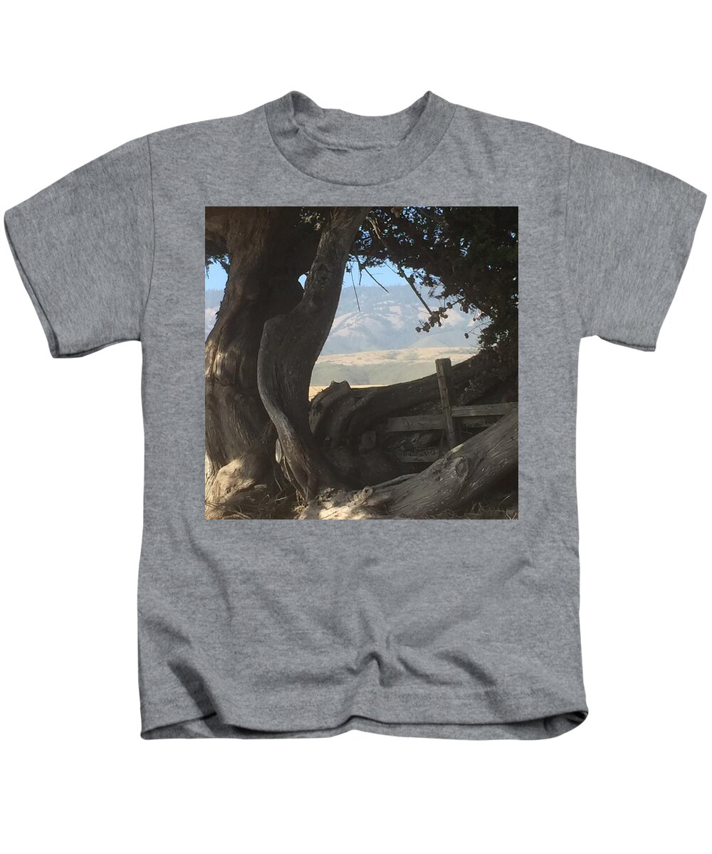 Trees Kids T-Shirt featuring the painting Cypress Trees Mountain View by Sandy Rakowitz