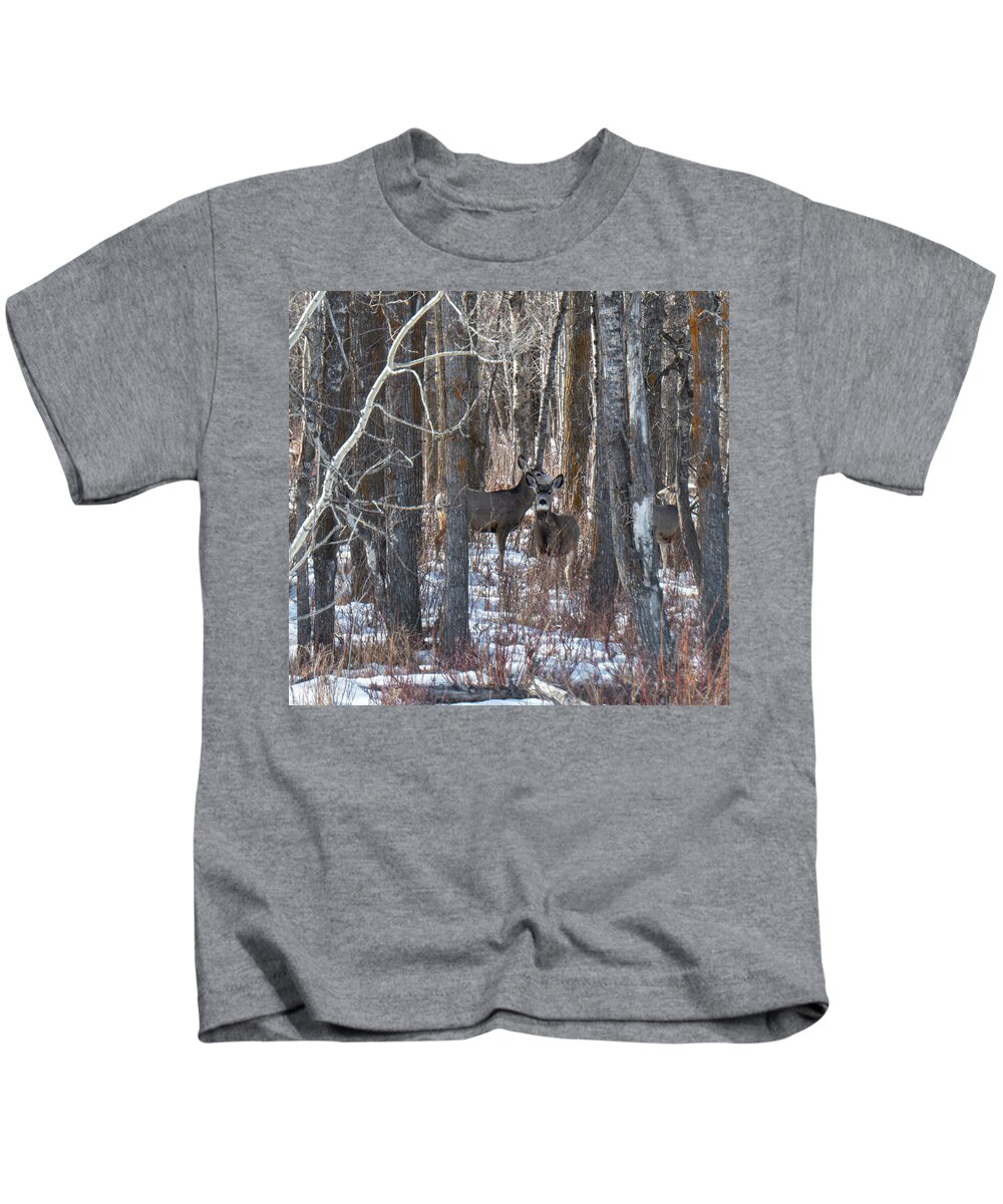 Deer Kids T-Shirt featuring the photograph Deer In Winter Woods by Karen Rispin