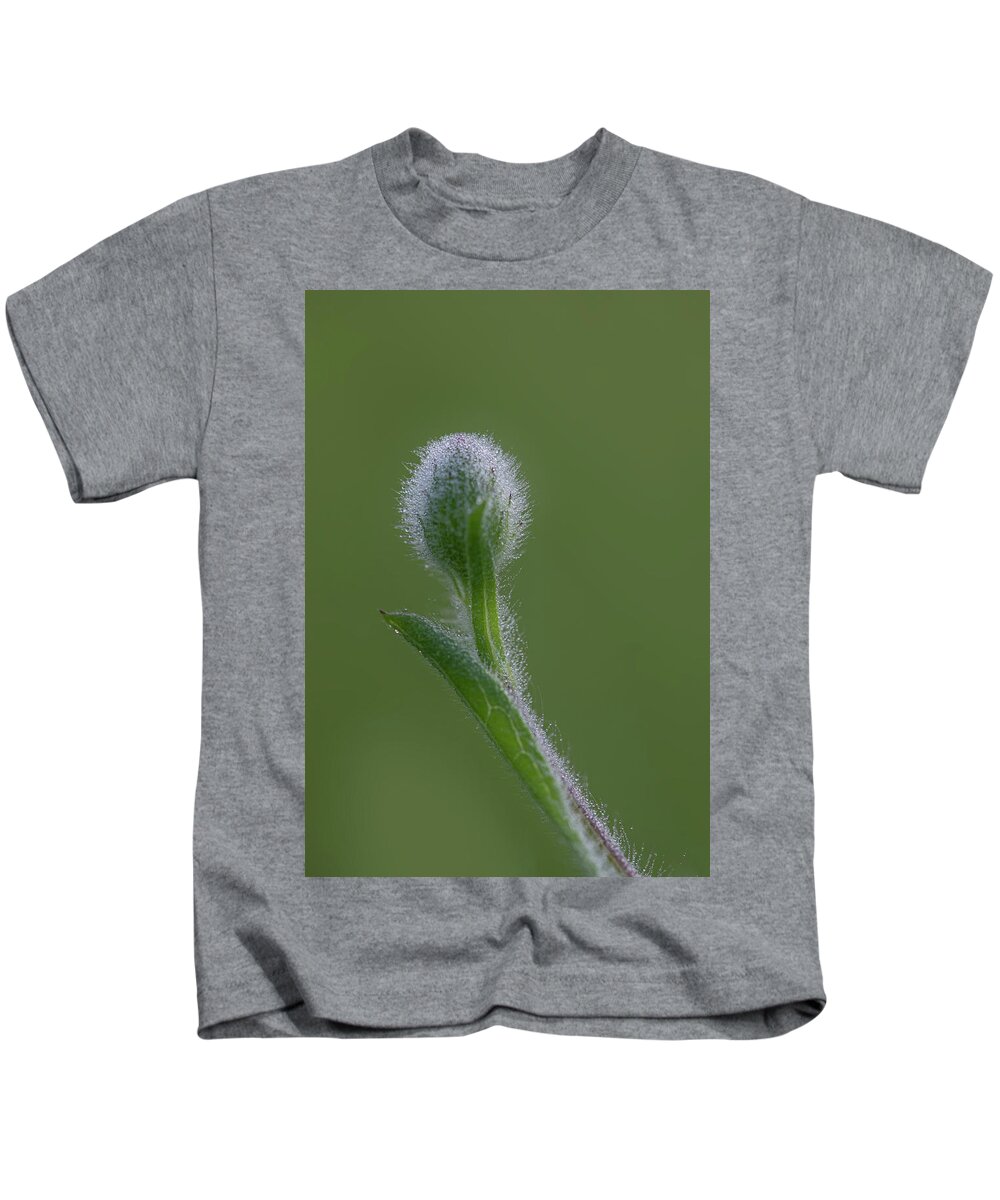 Dew Kids T-Shirt featuring the photograph Dew On A Groundsel Bud by Karen Rispin