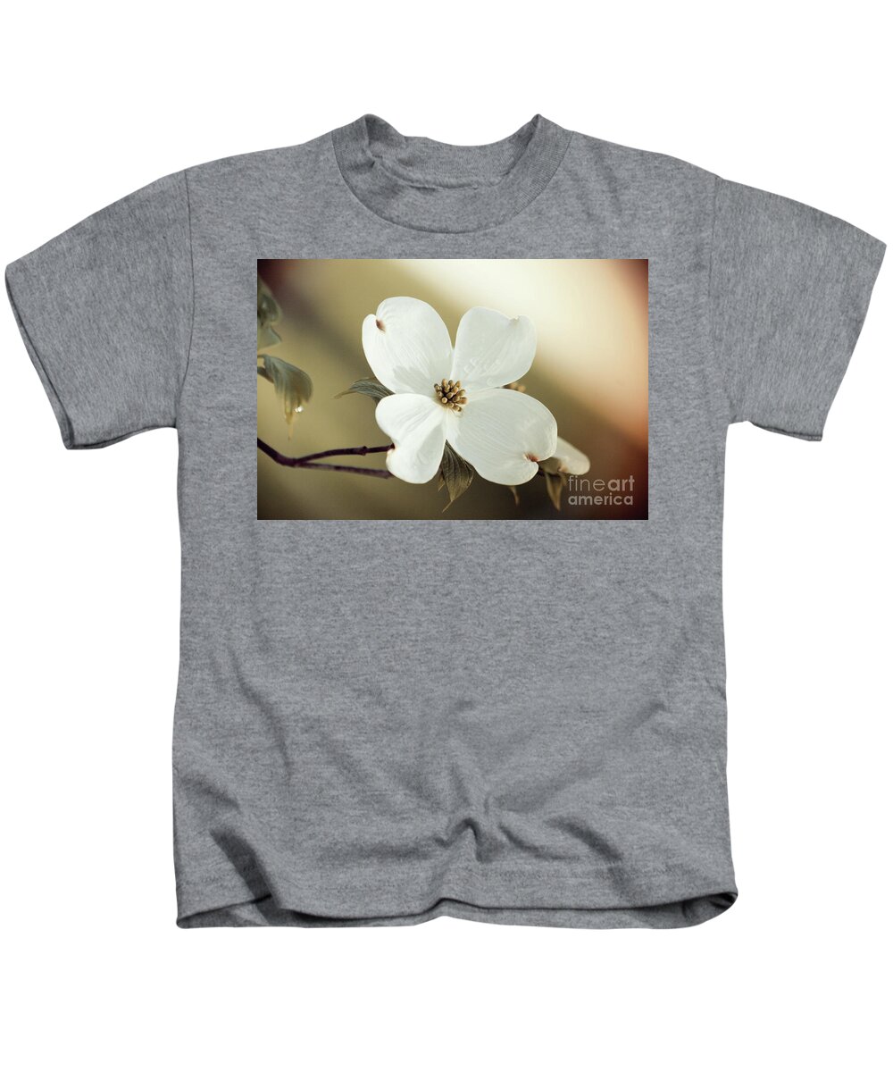 Dogwood; Dogwood Blossom; Blossom; Flower; Vintage; Macro; Close Up; Petals; Green; White; Calm; Horizontal; Leaves; Tree; Branches Kids T-Shirt featuring the photograph Dogwood in Autumn Hues by Tina Uihlein