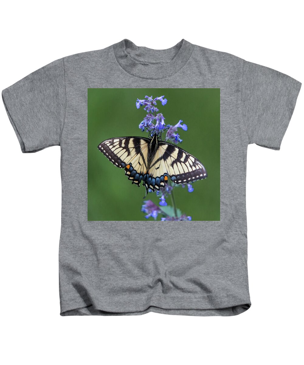 Butterfly Kids T-Shirt featuring the photograph Eastern Tiger Swallowtail Wingspan by Patti Deters