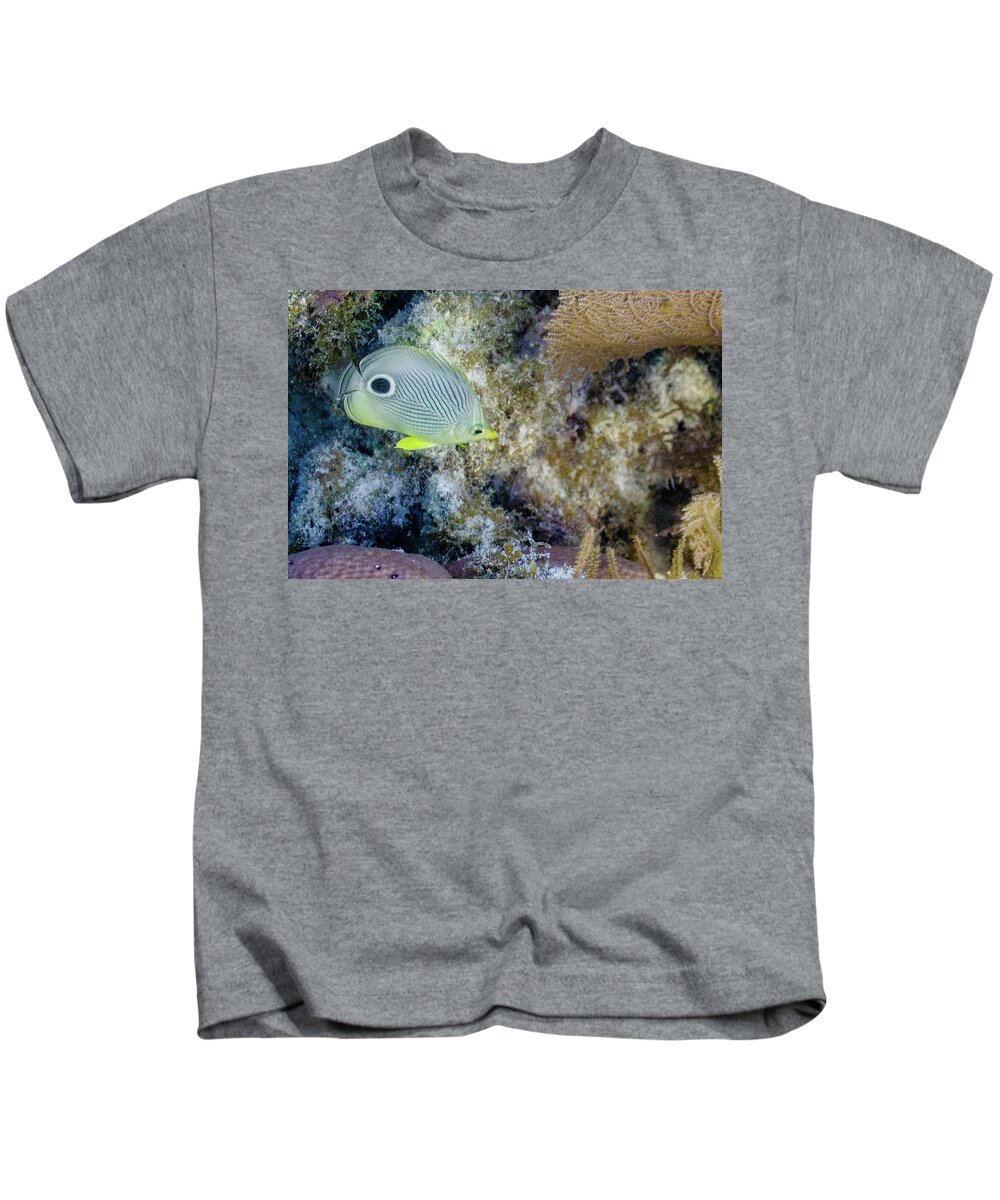Animals Kids T-Shirt featuring the photograph Eligible by Lynne Browne