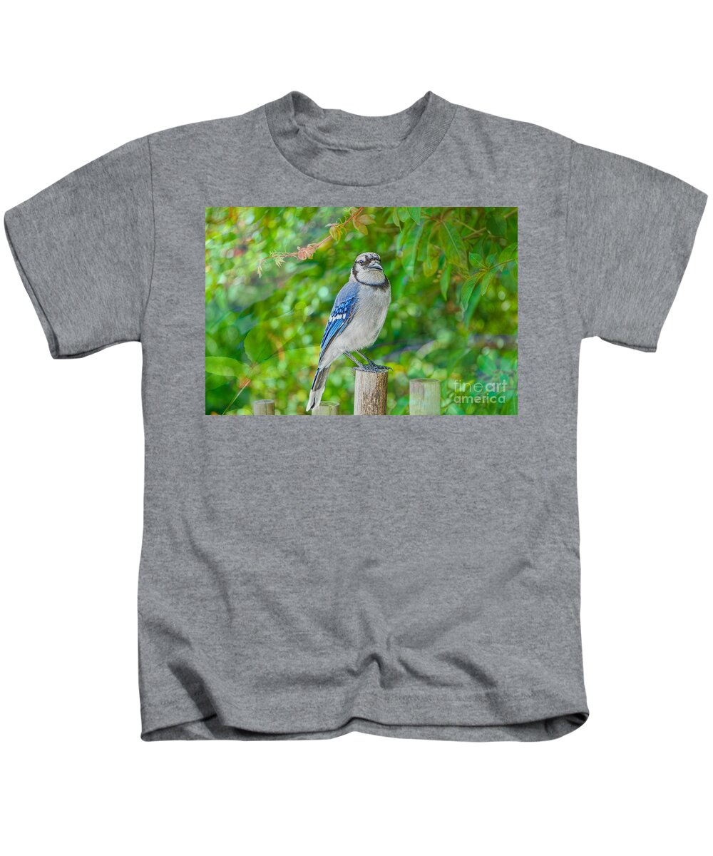 Birds Kids T-Shirt featuring the photograph Elusive by Judy Kay