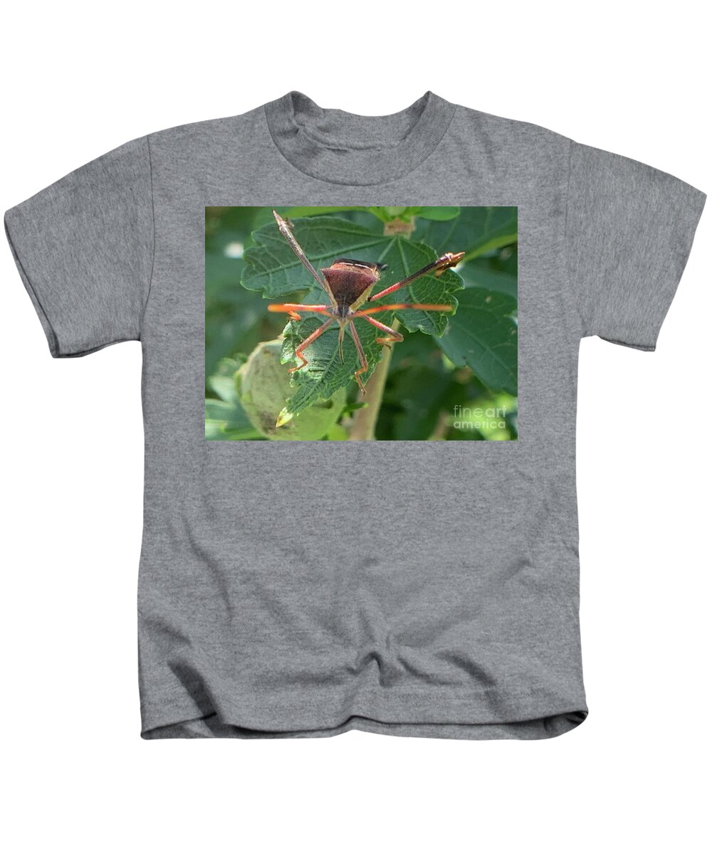 Leaf Footed Bug Kids T-Shirt featuring the photograph Face me by Catherine Wilson