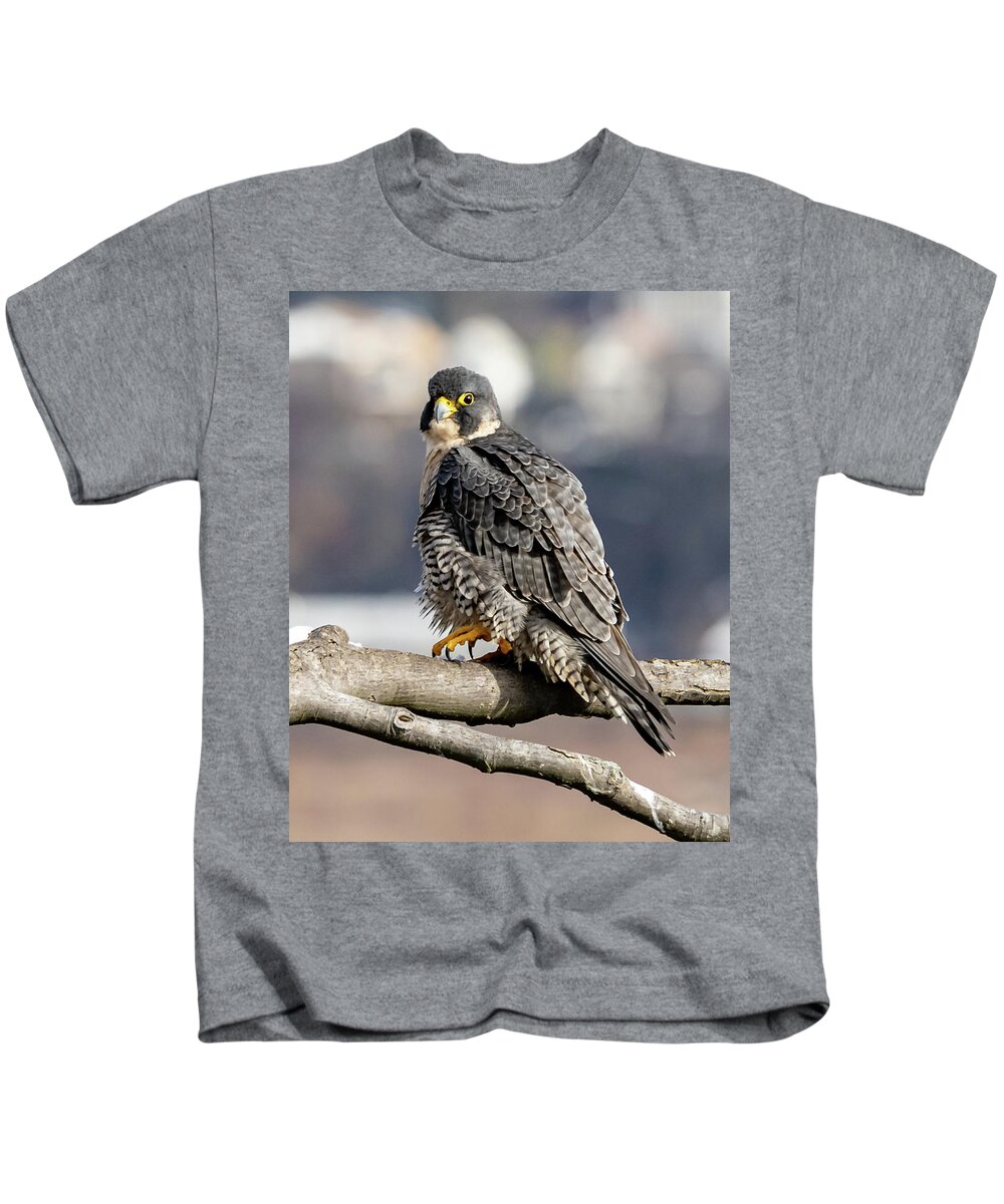 Birds Kids T-Shirt featuring the photograph Falcon in Winter-2 by Kevin Suttlehan