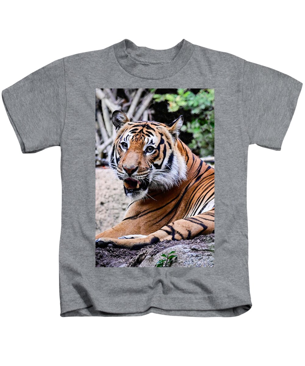 Tiger Kids T-Shirt featuring the photograph Fierce tiger by Ed Stokes
