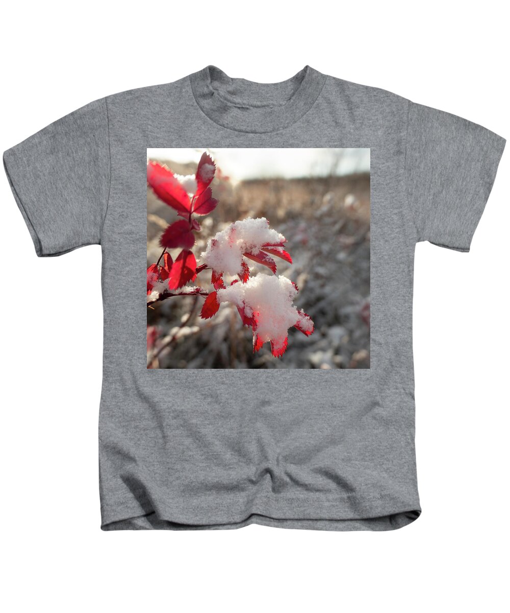 Red Kids T-Shirt featuring the photograph First Snow On Wild Rose Leaves by Karen Rispin