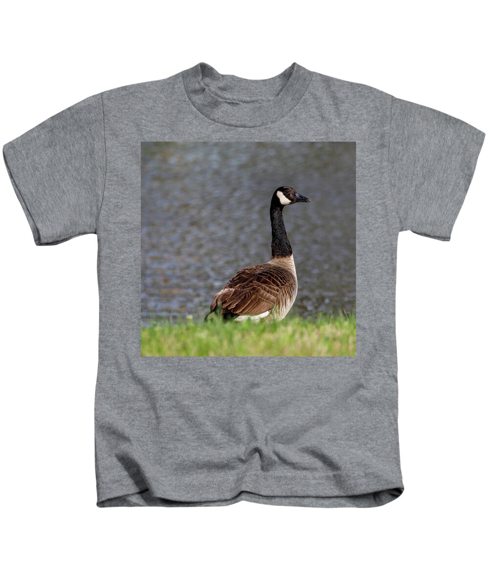Birds Kids T-Shirt featuring the photograph Goose by David Beechum