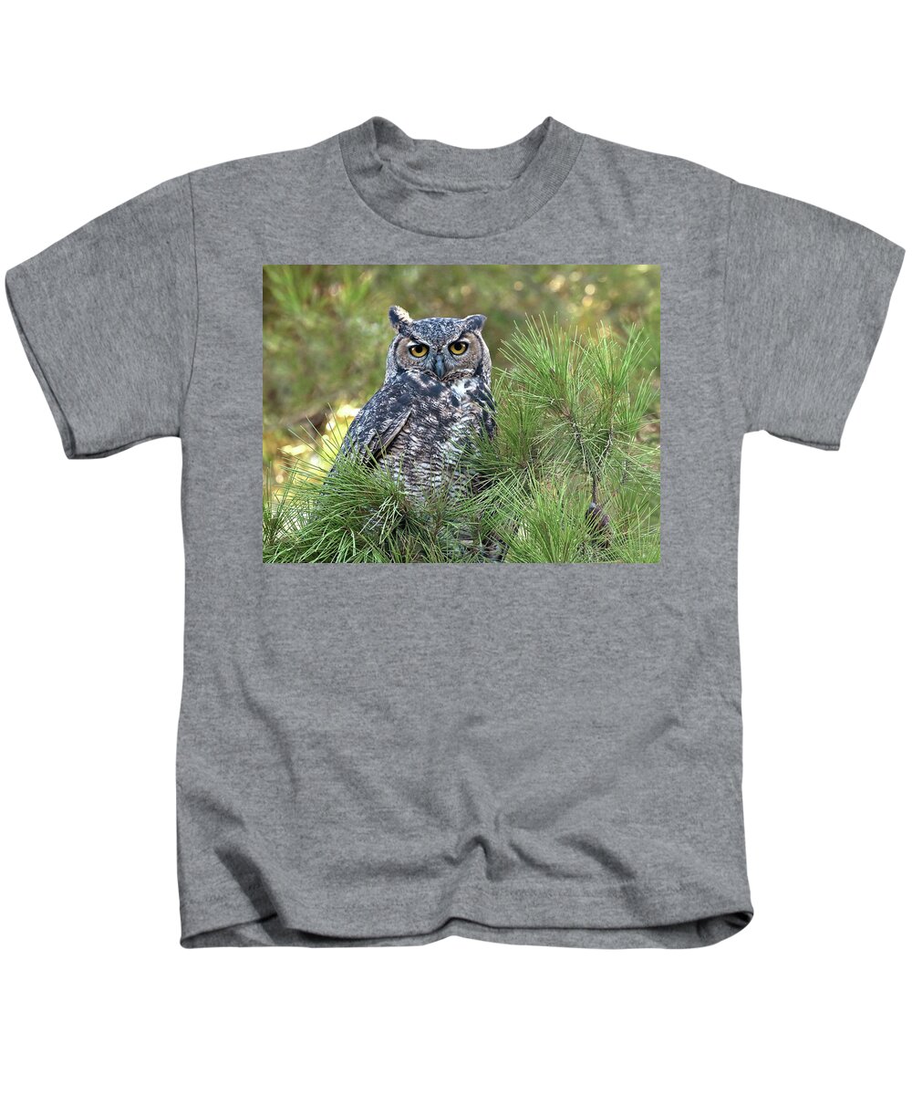  Kids T-Shirt featuring the photograph Great Horned Owl #1 by Carla Brennan