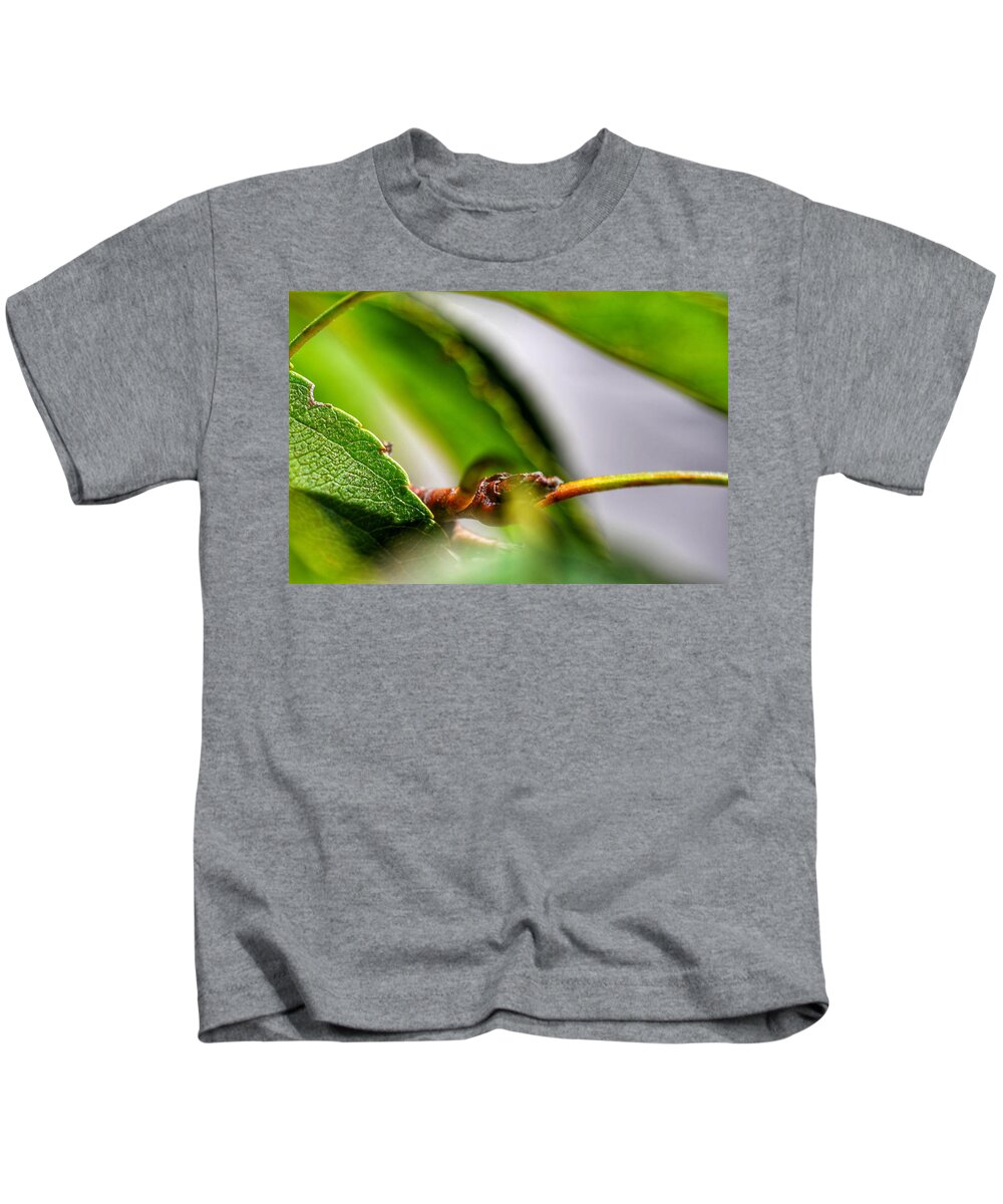 Photo Kids T-Shirt featuring the photograph Green Leaf Closeup by Evan Foster