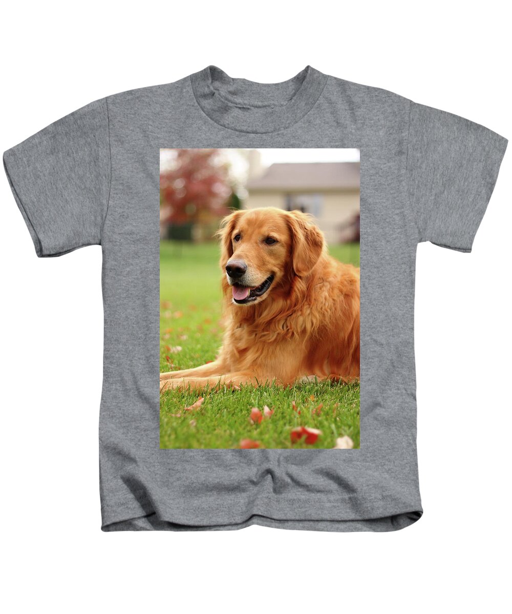 Dog Kids T-Shirt featuring the photograph Handsome Golden by Lens Art Photography By Larry Trager