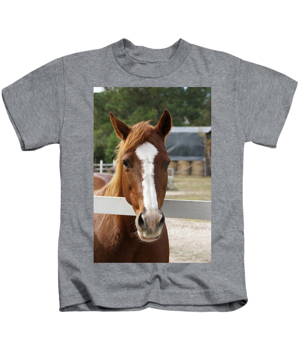  Kids T-Shirt featuring the photograph Horse Welcome by Heather E Harman