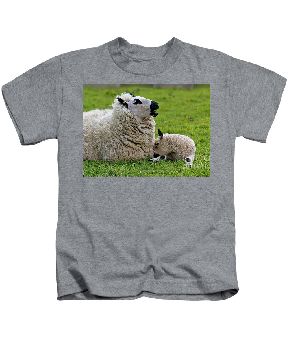 Sheep Kids T-Shirt featuring the photograph Kerry Hill Sheep, ewe with twin lambs by Tony Mills