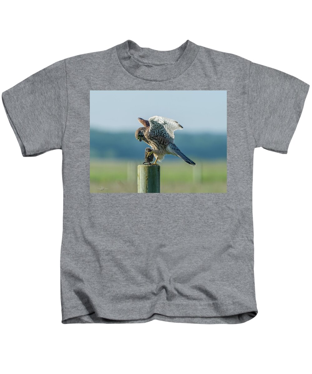 Kestrel's Landing Kids T-Shirt featuring the photograph Kestrels landing with the prey on the roundpole by Torbjorn Swenelius