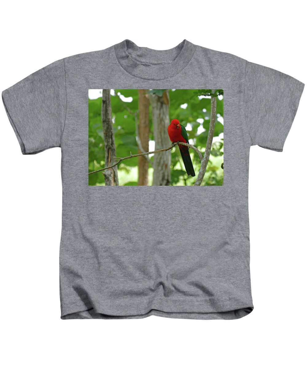 Animals Kids T-Shirt featuring the photograph King Of The Parrots by Maryse Jansen