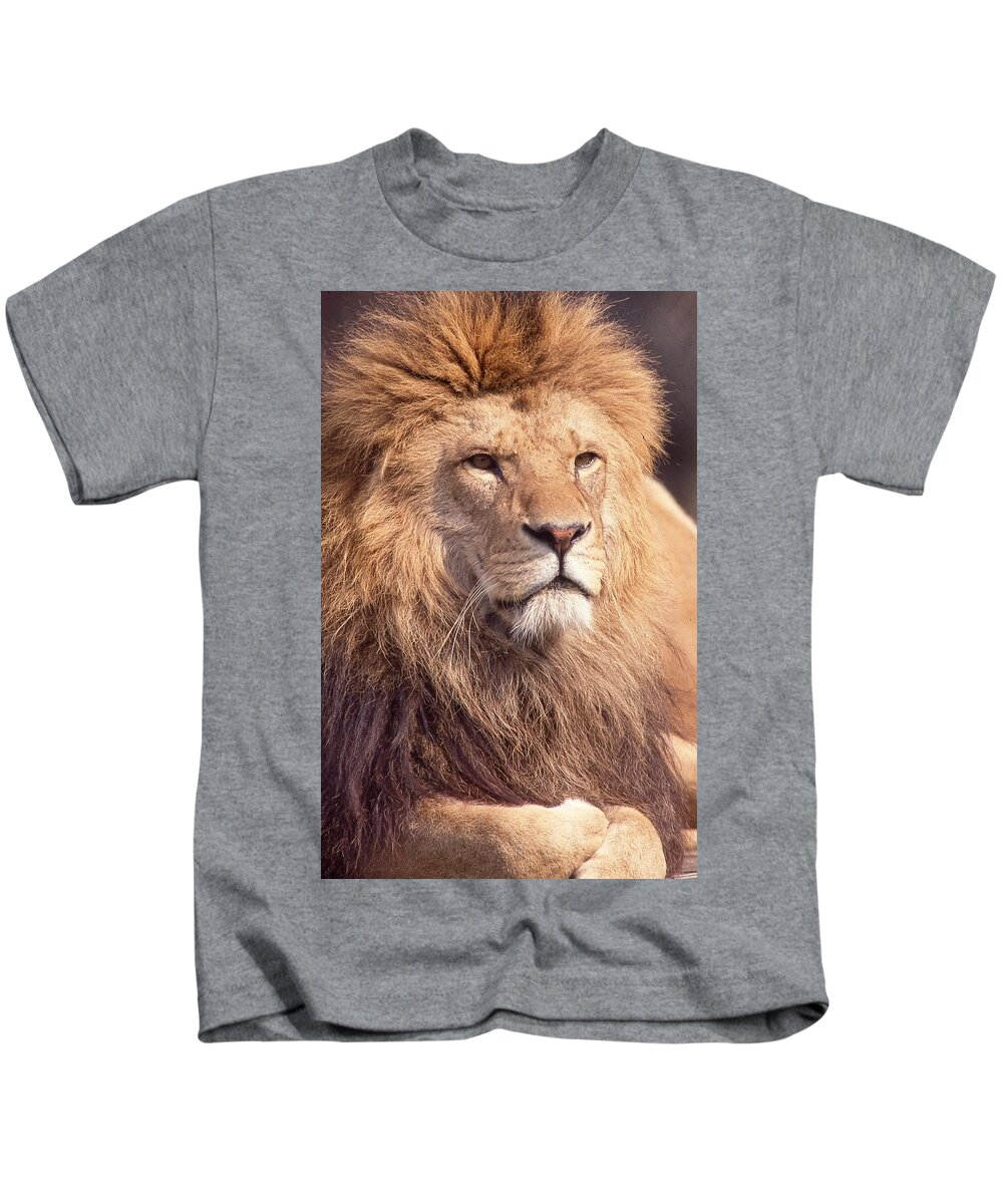 Lion Kids T-Shirt featuring the photograph Lion King 2 by Russel Considine