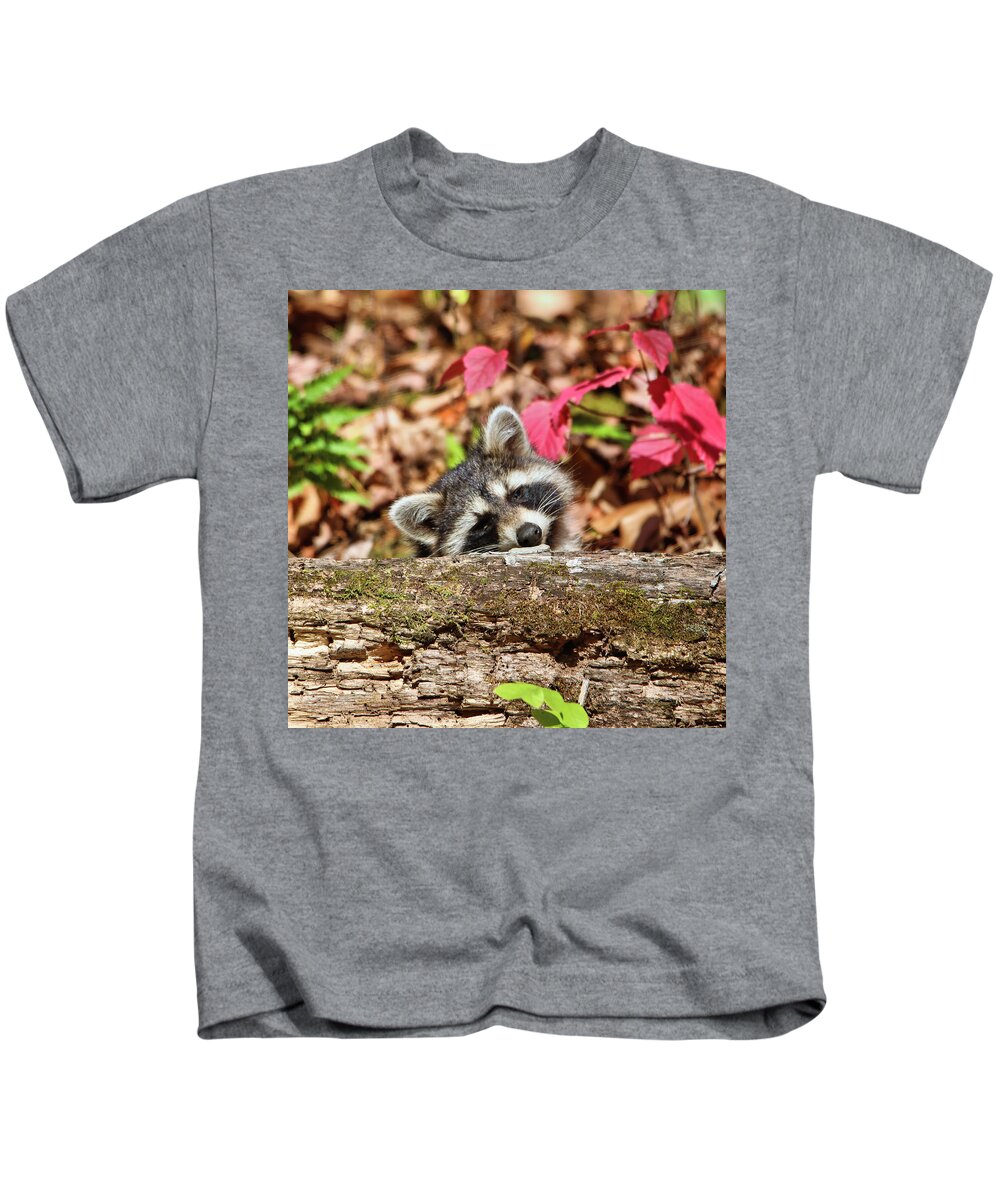 Racoon Kids T-Shirt featuring the photograph Little Miss Cutie by Scott Burd