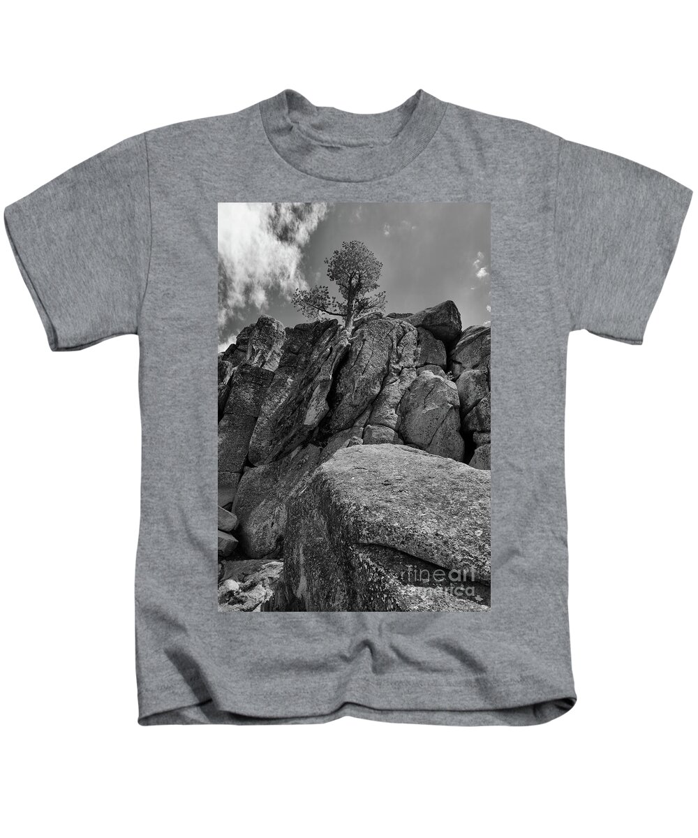 Pine Tree Kids T-Shirt featuring the photograph Lone Pine by Melissa OGara