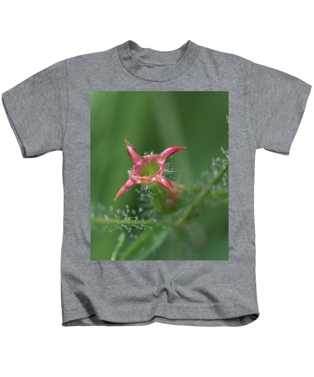 Flower Kids T-Shirt featuring the photograph Meadow Beauty After Flowering by Phil And Karen Rispin