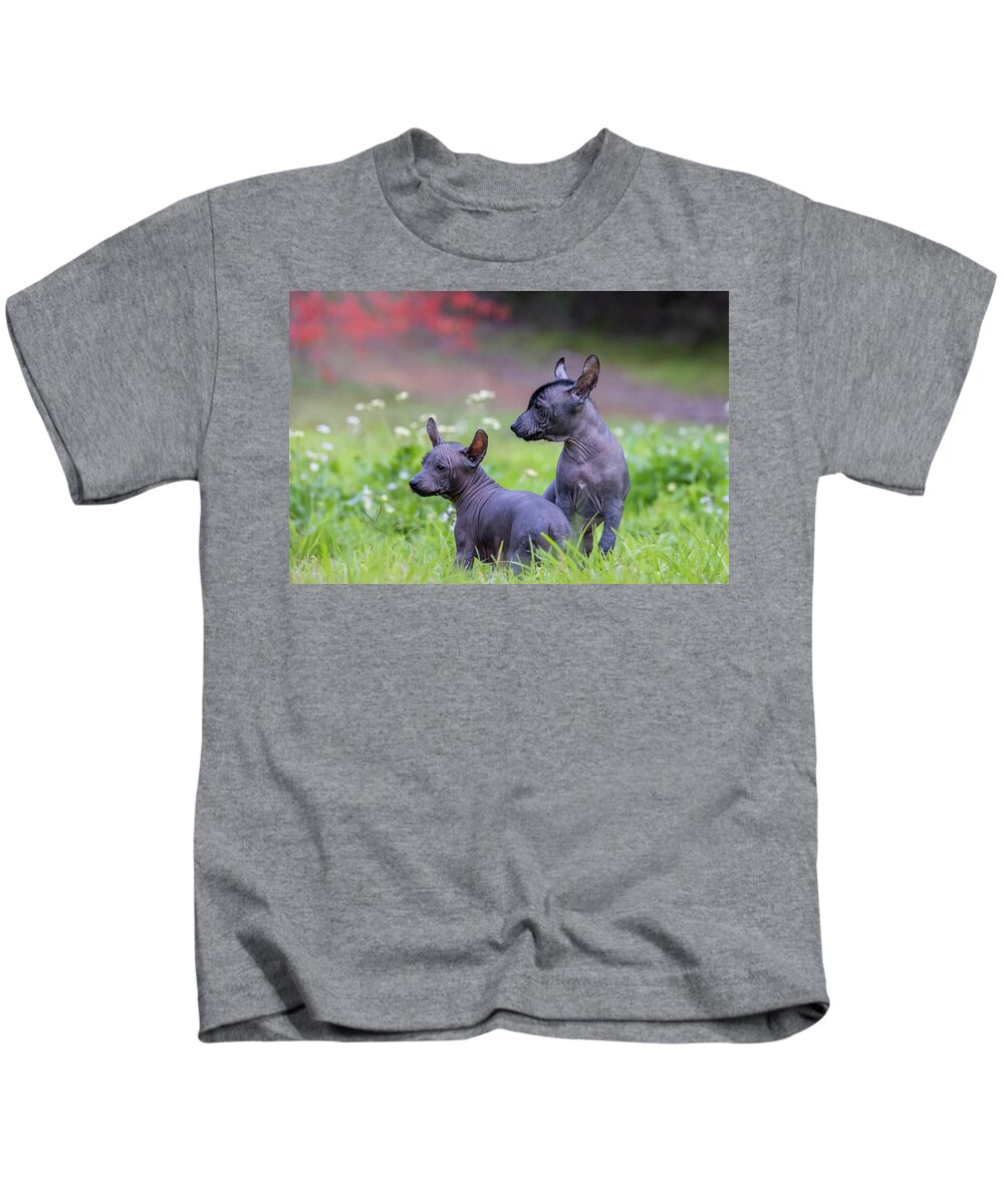 Xoloitzcuintli Kids T-Shirt featuring the photograph Miniature Xoloitzcuintli Puppies by Diana Andersen