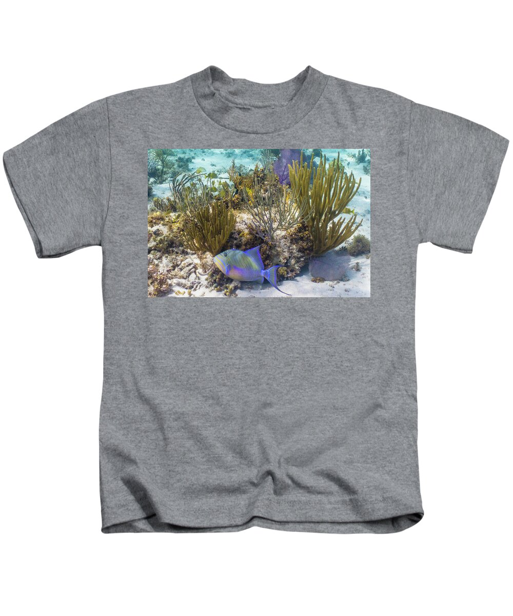 Animals Kids T-Shirt featuring the photograph More Royalty by Lynne Browne