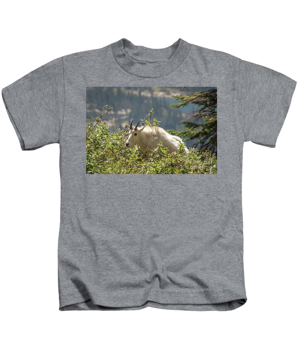 Glacier National Park Kids T-Shirt featuring the photograph Mountain Goat in the Shrubs by Nancy Gleason