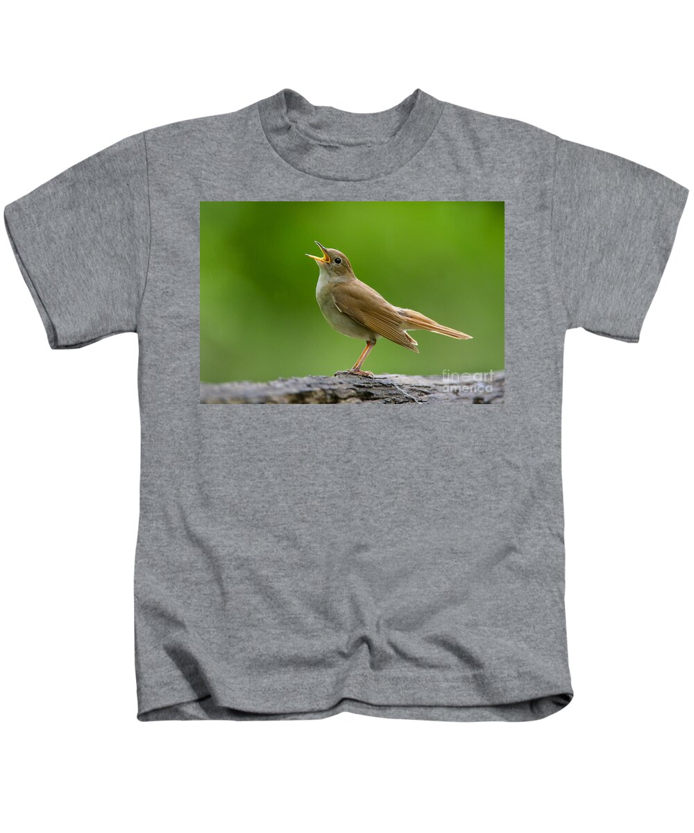 80179515 Kids T-Shirt featuring the photograph Nightingale Singing by Michael Durham