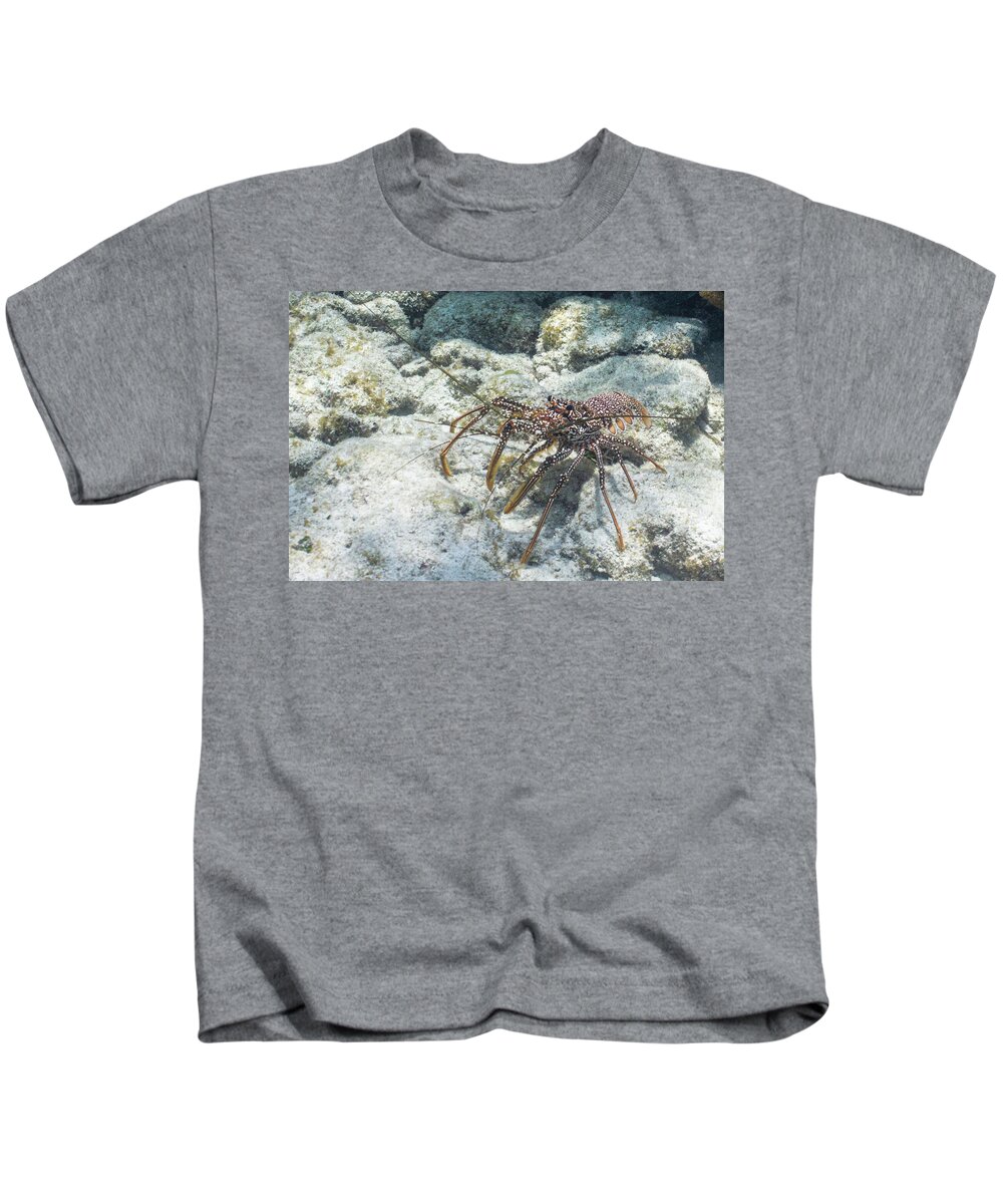 Animals Kids T-Shirt featuring the photograph Not From Maine by Lynne Browne