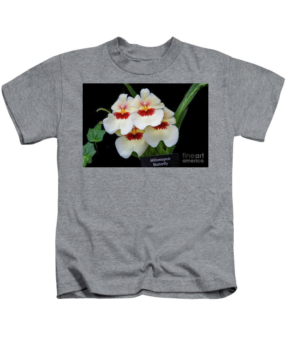 Conservatory Kids T-Shirt featuring the photograph Pansies on Parade by Marilyn Cornwell