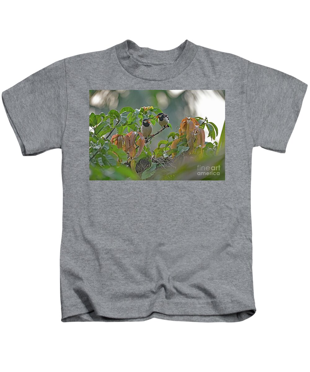 Gracupica Contra Kids T-Shirt featuring the photograph Pied Myna Chicks by Amazing Action Photo Video