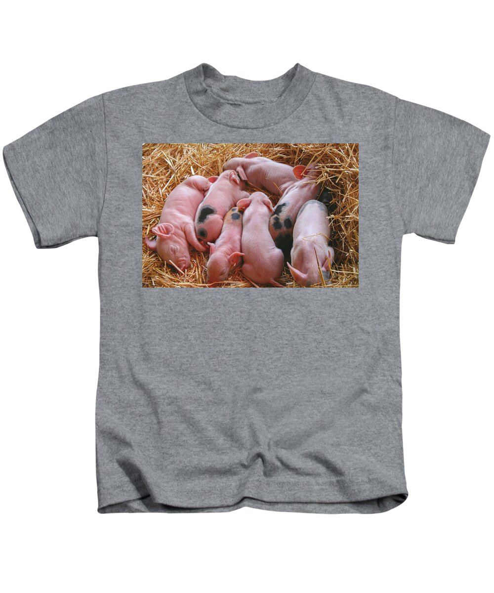 Piglets Kids T-Shirt featuring the photograph Piglets by Sally Bauer