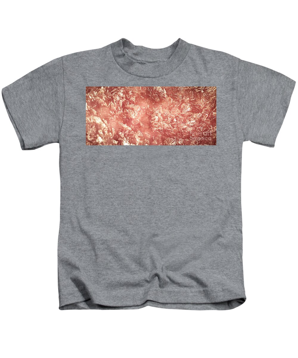 Frost Kids T-Shirt featuring the photograph Pink Ice by Robert Knight