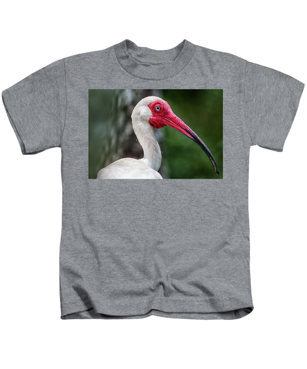 White Ibis Kids T-Shirt featuring the photograph Protrait of an Ibis by Bob Decker