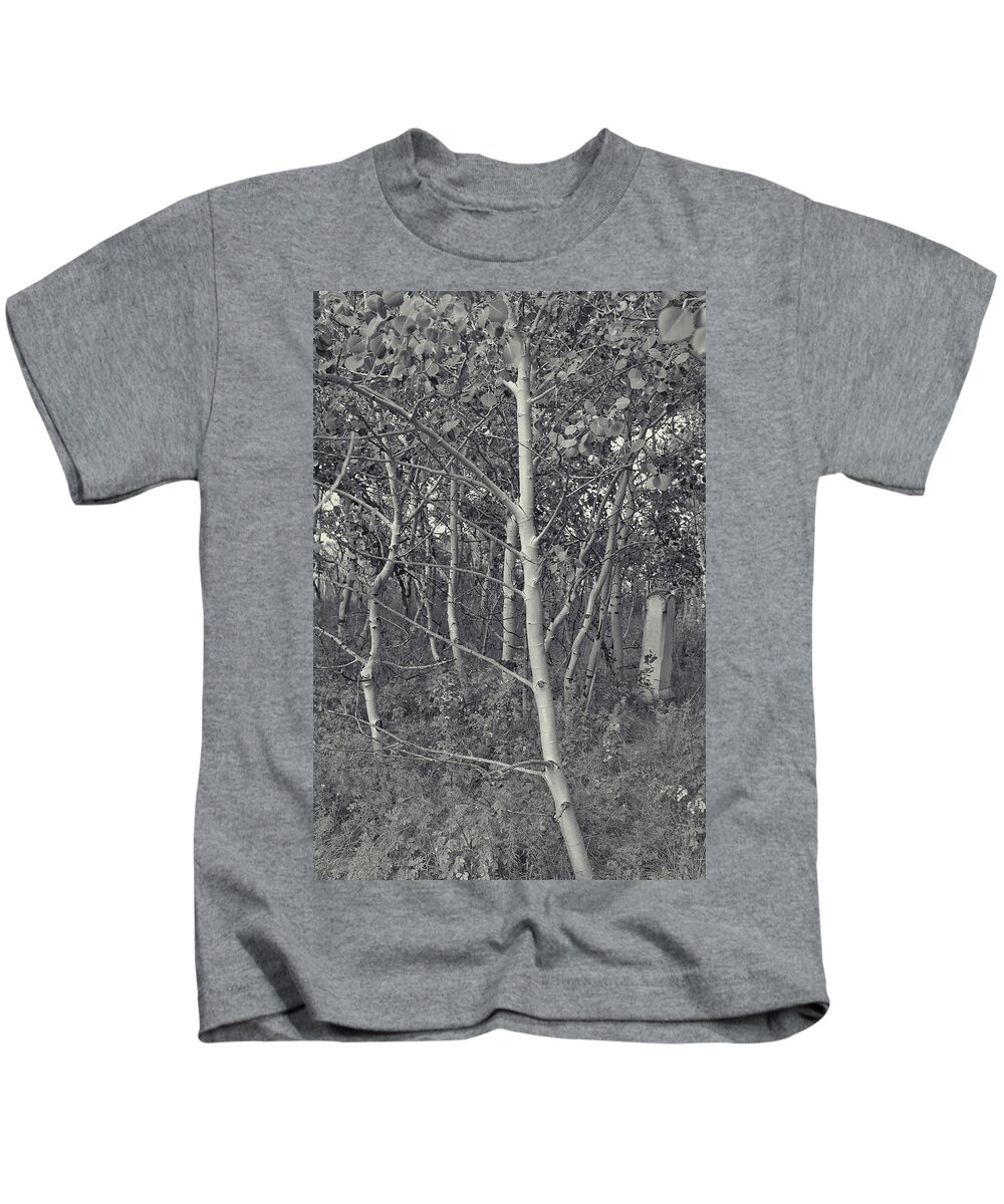 Aspens Kids T-Shirt featuring the photograph Quaking Aspens Colorado by Cathy Anderson