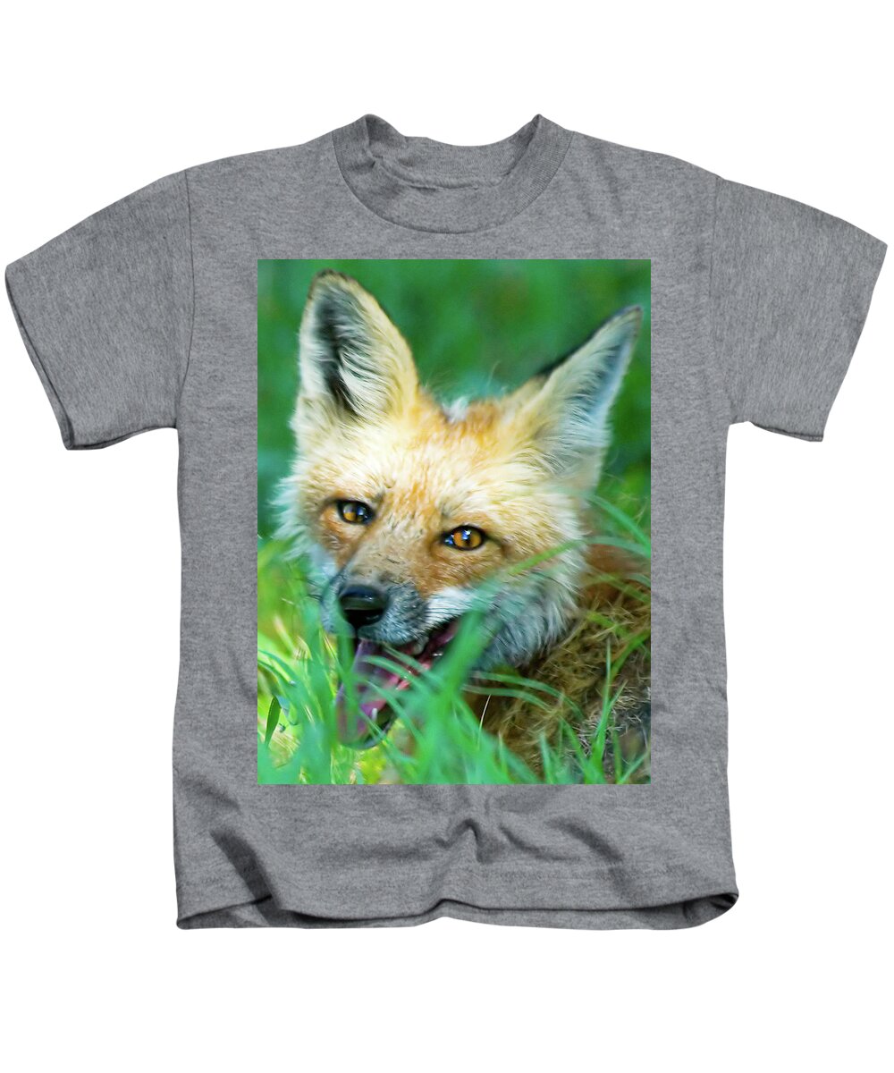 Red Fox Kids T-Shirt featuring the photograph Red Fox by Gary Beeler