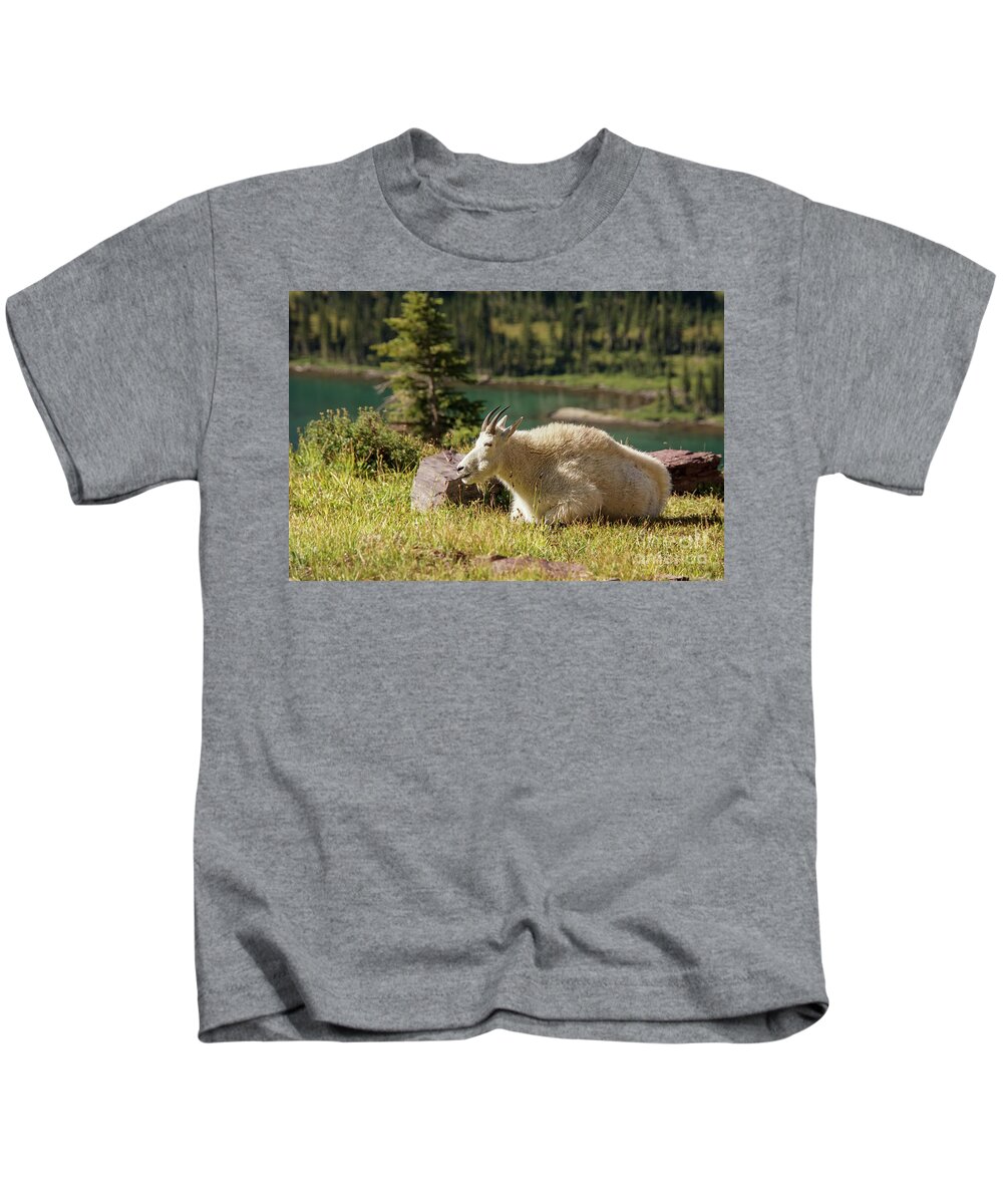 Glacier National Park Kids T-Shirt featuring the photograph Resting Mountain Goat by Nancy Gleason