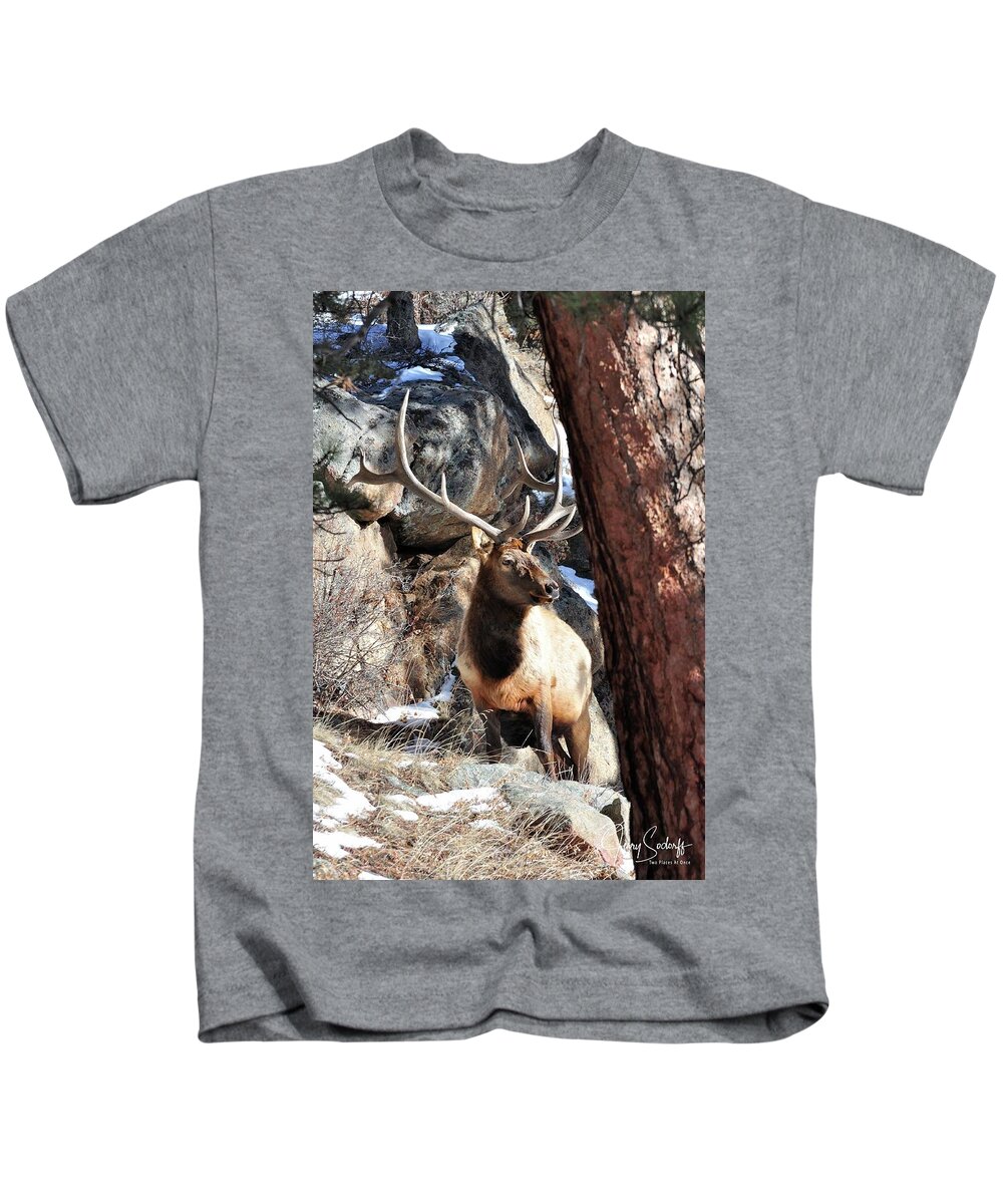 Elk Kids T-Shirt featuring the photograph RMNP Bull Elk DS by Jerry Sodorff