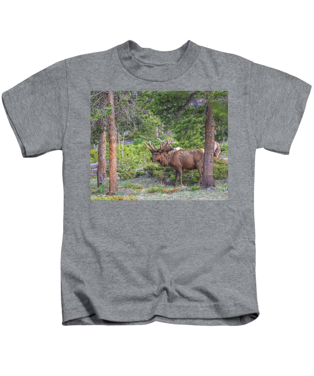 Rocky Mountain Elk Molting Kids T-Shirt featuring the photograph Rocky Mountain Elk Molting by Dan Sproul