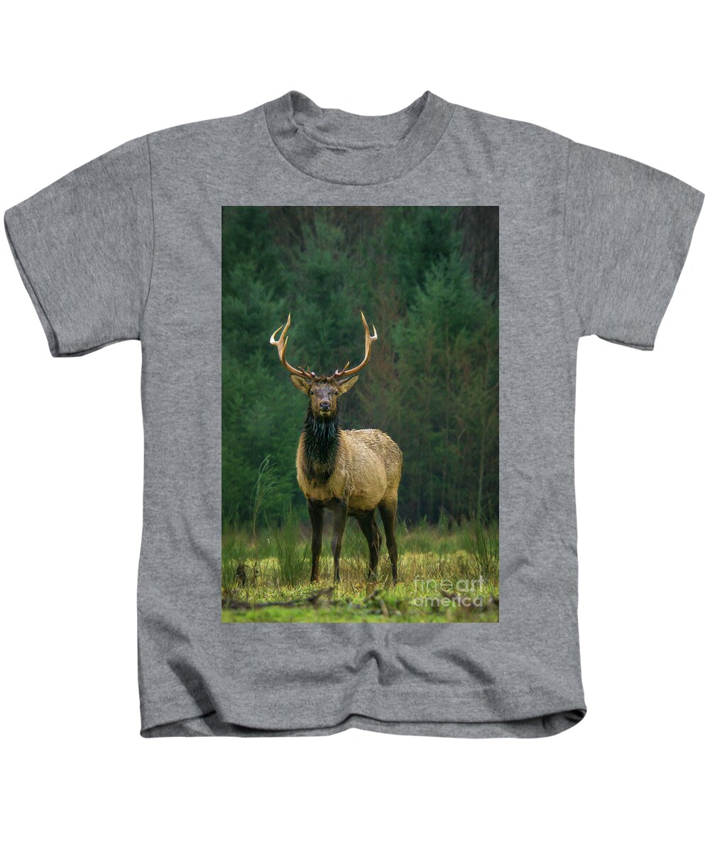 Animal Kids T-Shirt featuring the photograph Rocky Mountain Elk with Attitude by Nancy Gleason