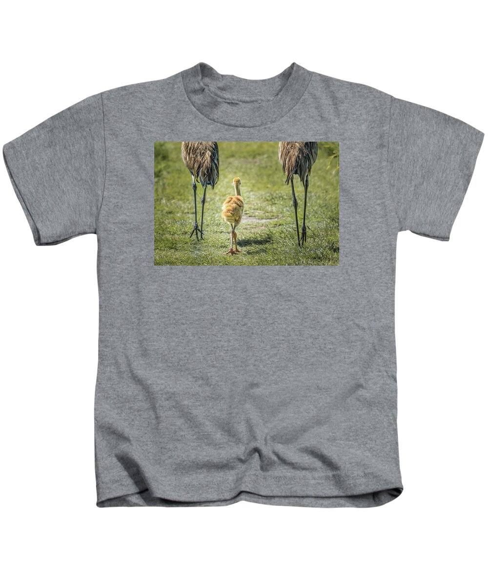 Sandhill Crane Chick Kids T-Shirt featuring the photograph Sandhill Crane Chick Family by Rebecca Herranen