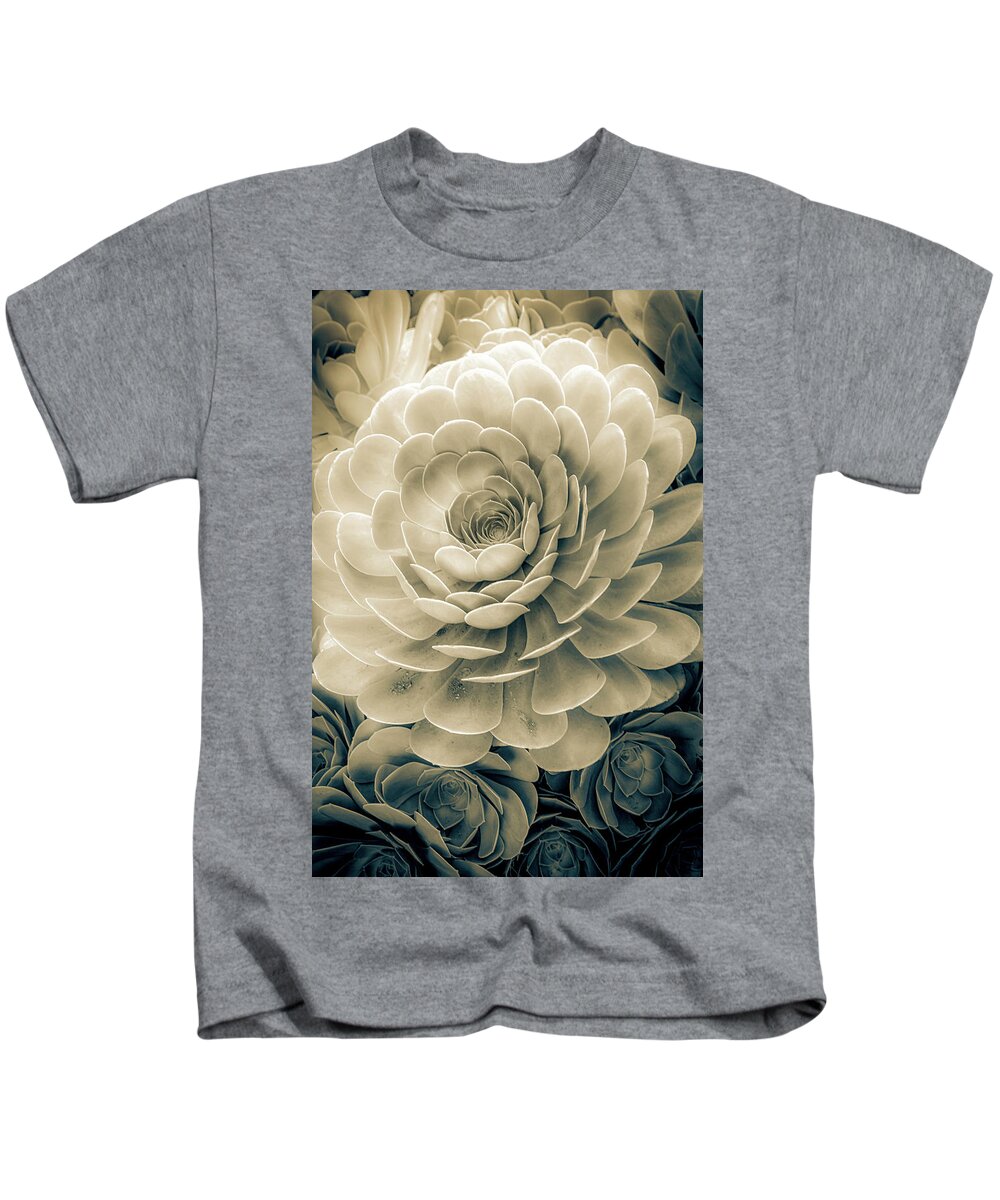 Zen Kids T-Shirt featuring the photograph Santa Barbara Succulent#19 by Jennifer Wright