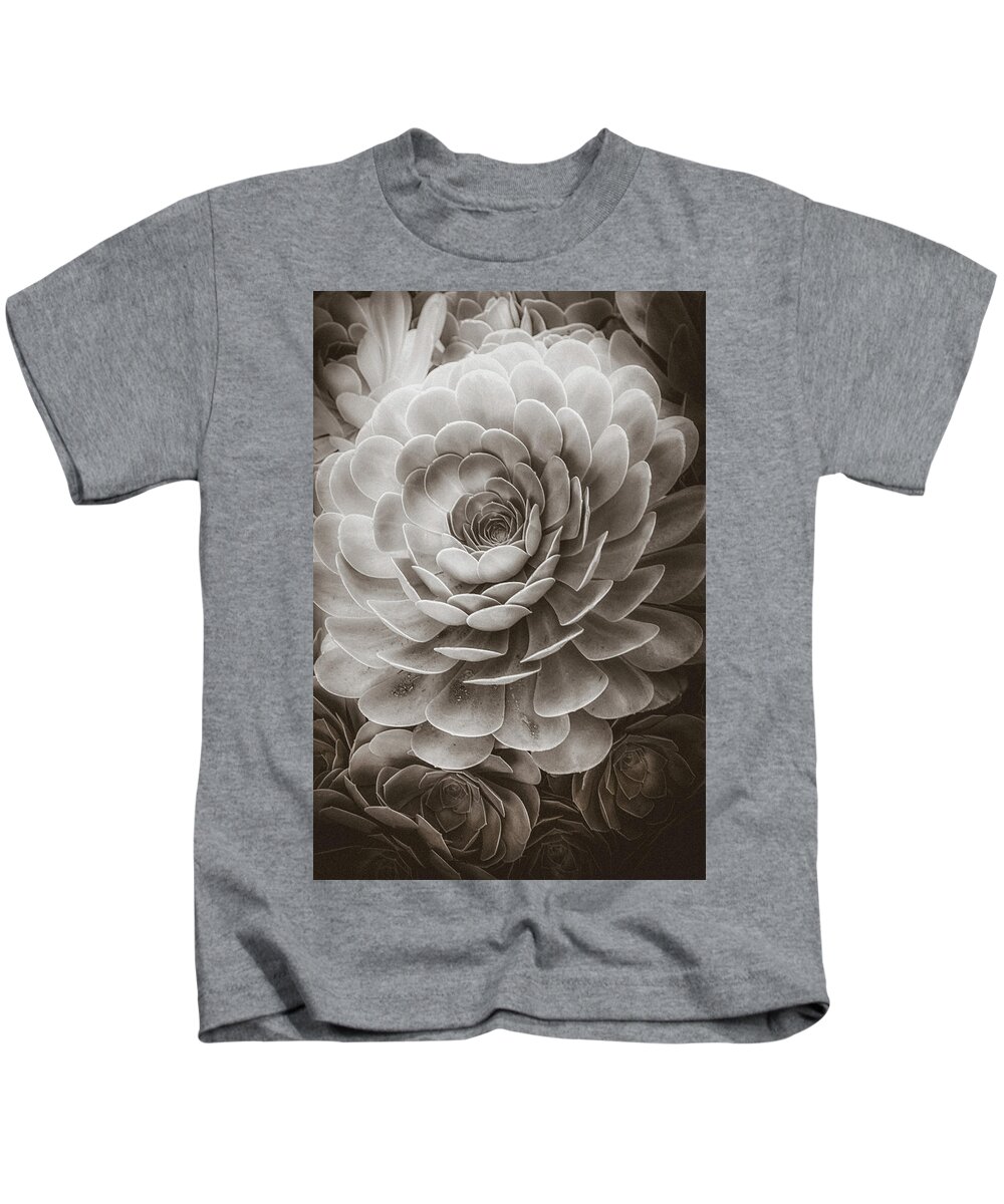 Soft Kids T-Shirt featuring the photograph Santa Barbara Succulent#20 by Jennifer Wright