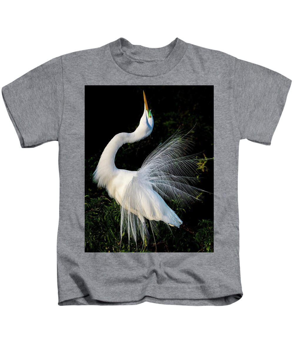 Great Egret Kids T-Shirt featuring the photograph Showoff II by Jim Miller
