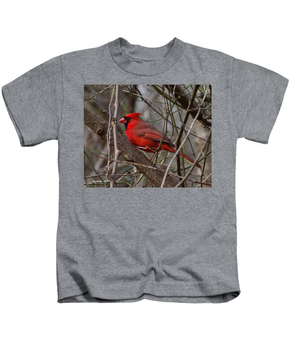 Cardinal Kids T-Shirt featuring the photograph Sitting Pretty by Judy Cuddehe