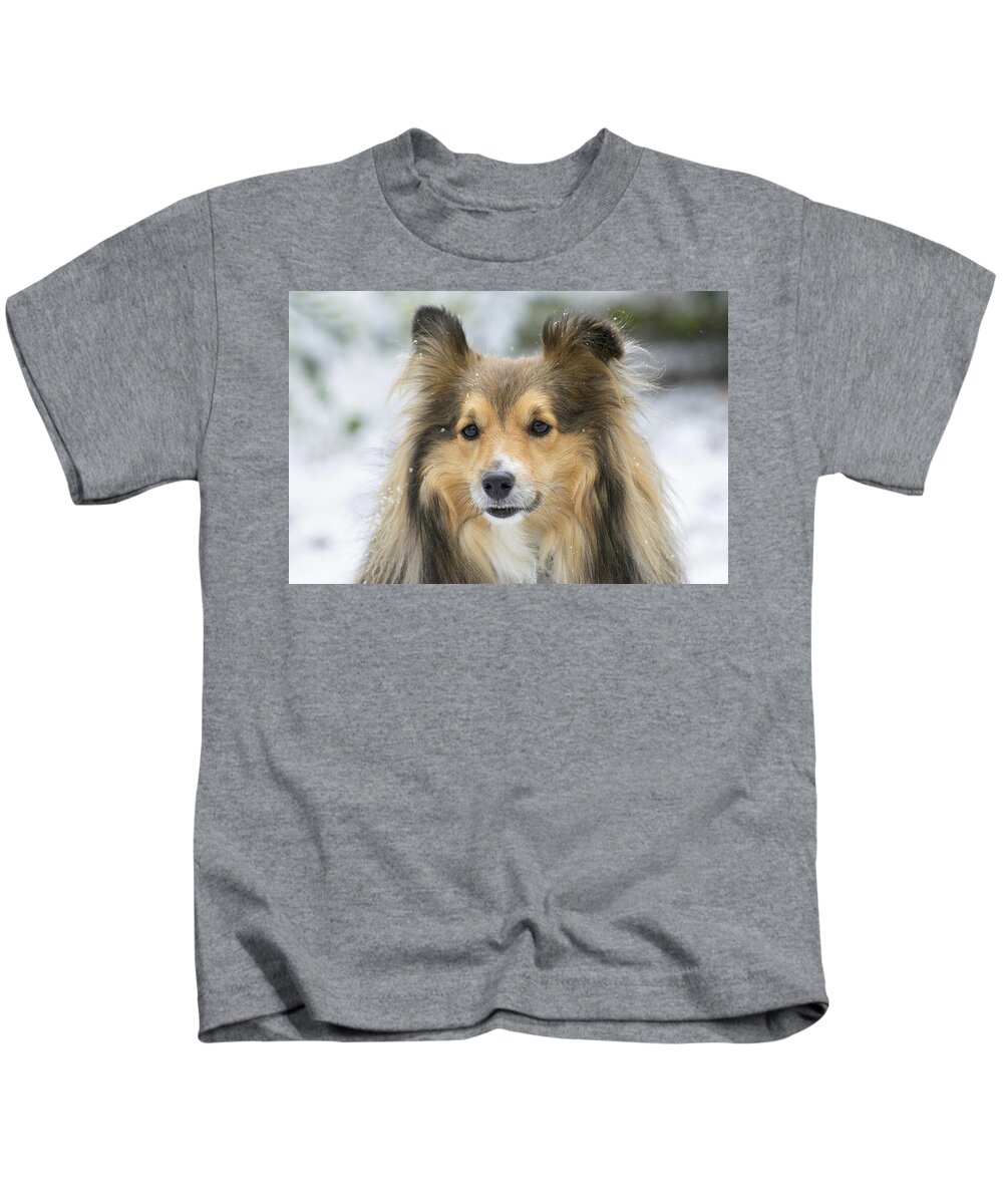 Sheltie Kids T-Shirt featuring the photograph Snow Sheltie by Gareth Parkes