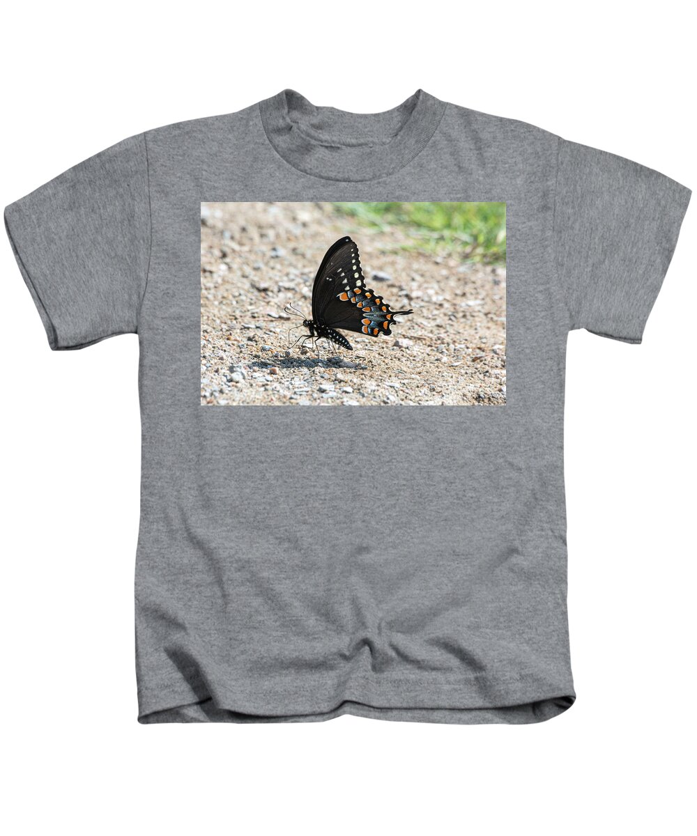 Spicebush Swallowtail Kids T-Shirt featuring the photograph Spicebush Swallowtail Butterfly on Gravel by Ilene Hoffman